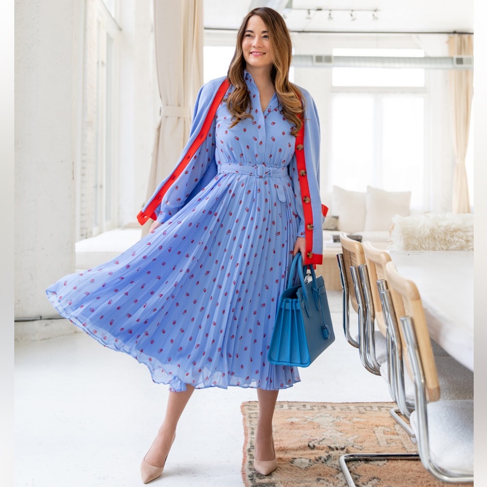 4P Ann Taylor Blue Heart Charm Pleated Dress